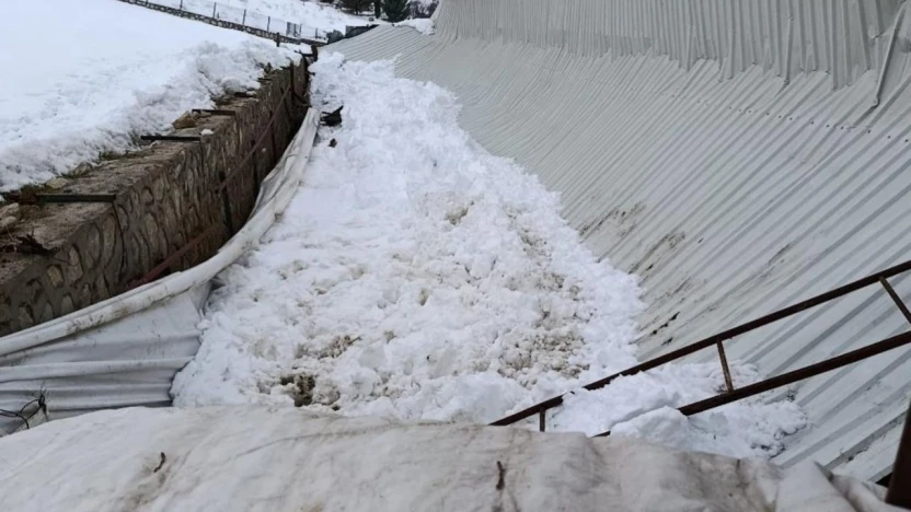 Elazığ'da ahırın tavanı çöktü