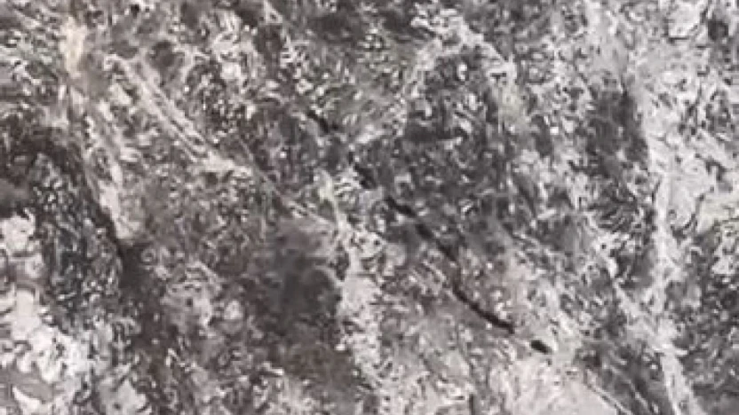 Elazığ'da domuz sürüsü görüntülendi