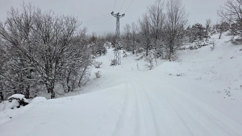 Elazığ'da kar başladı, 311  köy yolu ulaşıma kapandı