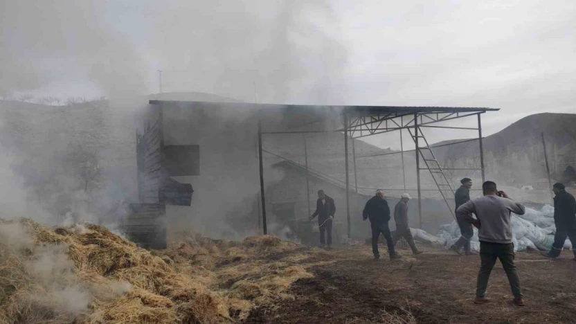 Malatya'da besi çiftliğinde yangın