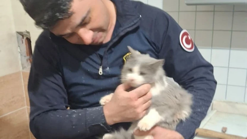 Malatya'da havalandırma boşluğuna düşen kedi kurtarıldı