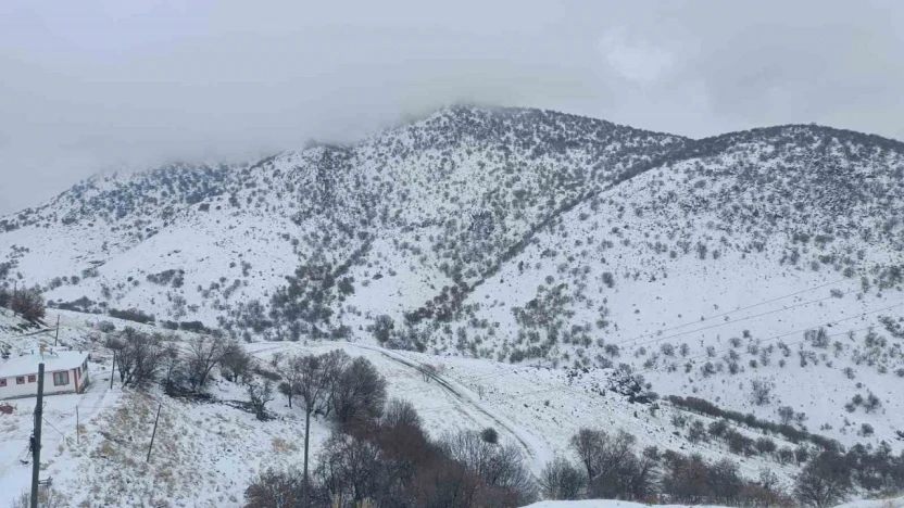 Malatya'da kırsal kesimlerde kar etkili oluyor