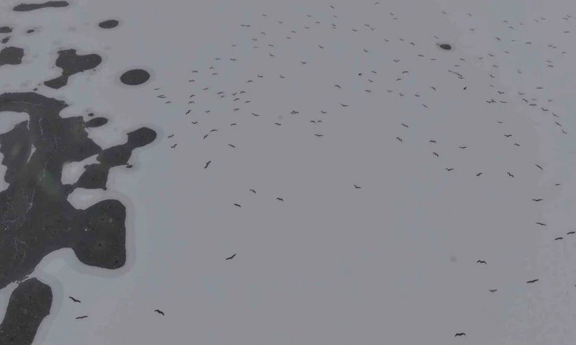 Cip Baraj Gölü buz tuttu