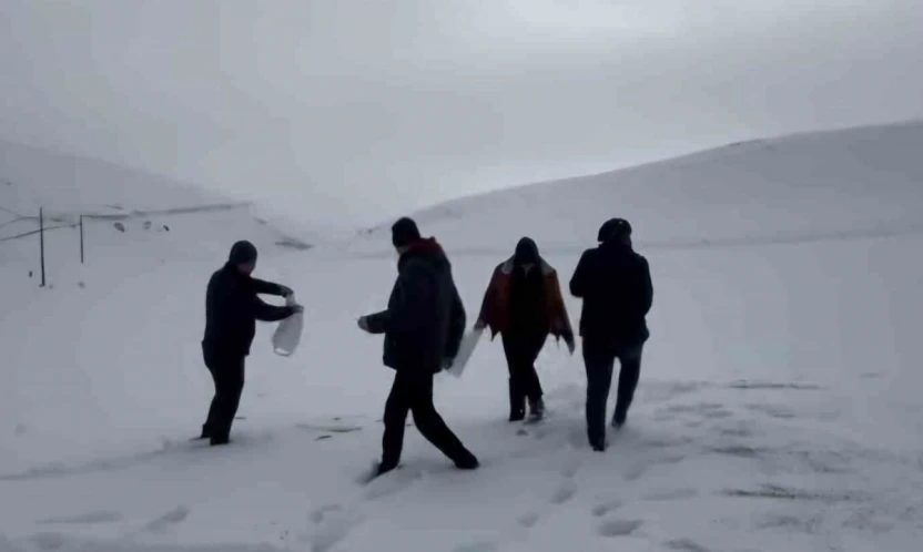 Darende'de öğretmen ve öğrencilerden yaban hayvanlarını unutmadı