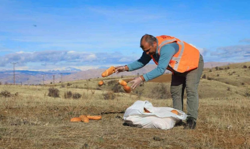 Elaızığ'da doğaya yem bırakıldı