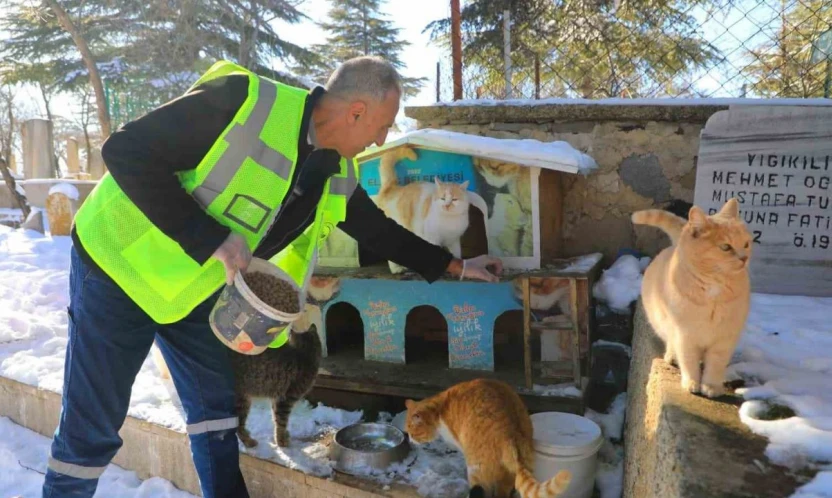 Elazığ'da doğaya yem bırakıldı
