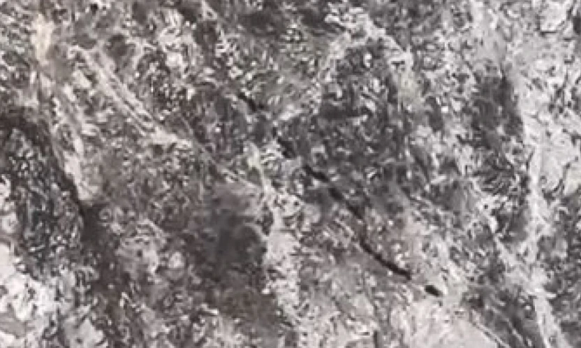 Elazığ'da domuz sürüsü görüntülendi