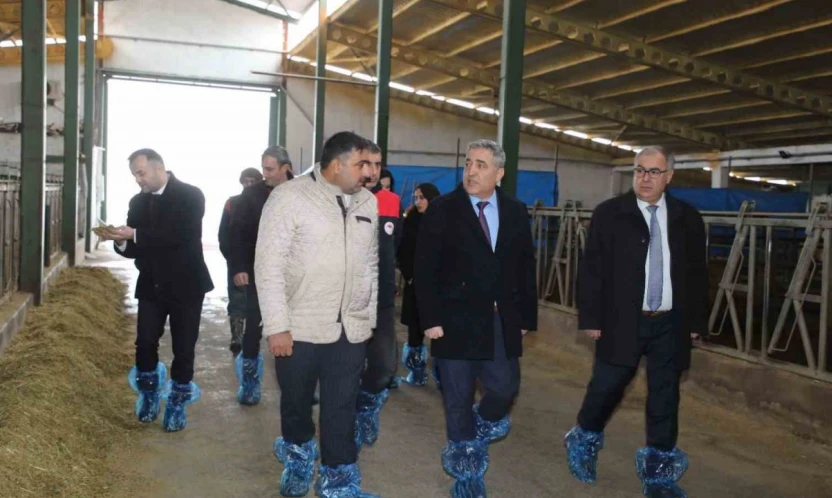 Elazığ'da hayvancılık altyapısı yerinde incelendi