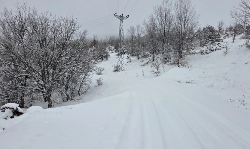 Elazığ'da kar başladı, 311  köy yolu ulaşıma kapandı