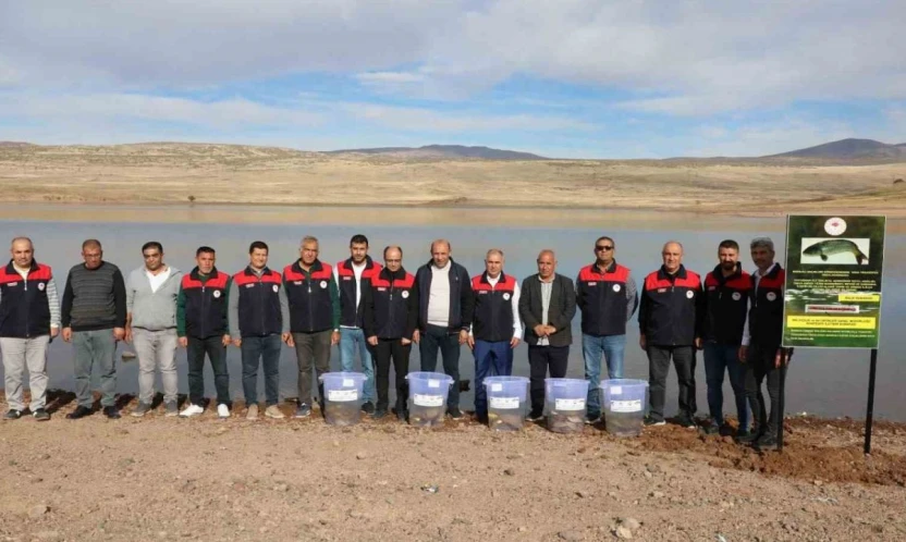 Elazığ'da Su Kaynakları Balıklandırma Projesi sürüyor