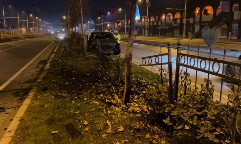 Köpeğe çarpmamak için manevra yapan sürücü refüje çıktı