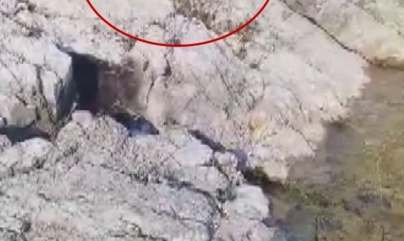 Malatya'da amatör balıkçı ile kedi arasındaki diyalog gülümsetti