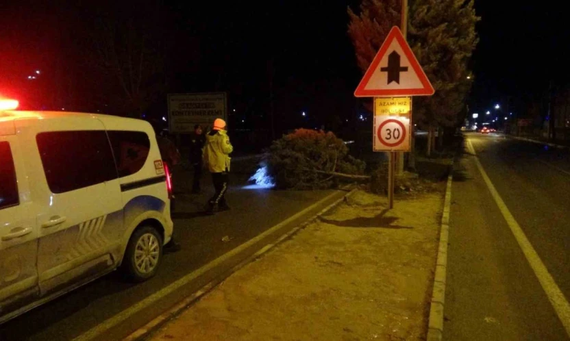 Malatya'da fırtına ağaçları kökünden söktü