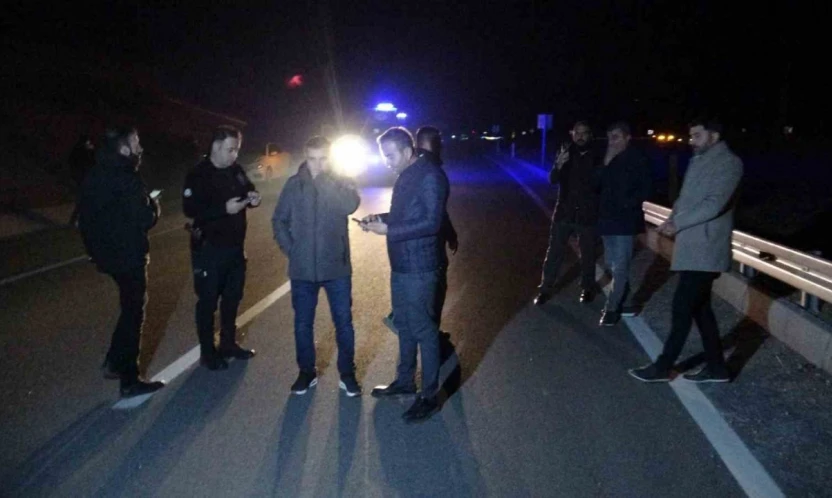 Malatya'da kaçan yarış atları karayoluna çıktı: 6 at telef oldu, 2 kişi yaralandı